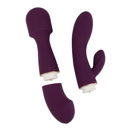 Loving Joy DUA Interchangeable Vibrator with 2 Attachments